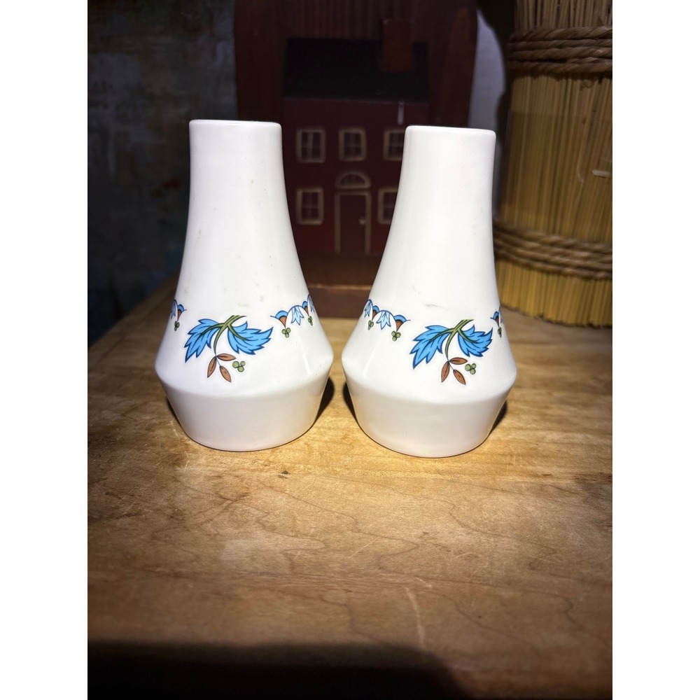 Noritake Japan Blue Floral Porcelain Salt and Pepper Shakers Set White Vintage